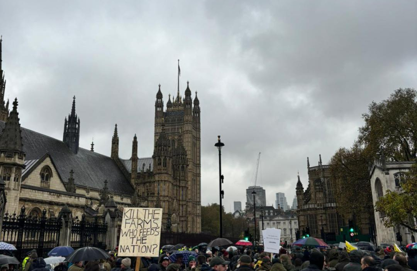 Westminster Rally