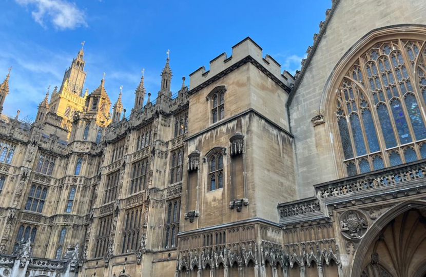 Houses of Parliament 