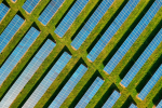 Solar Farm