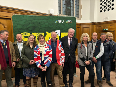 Westminster Rally with Lincs Colleagues