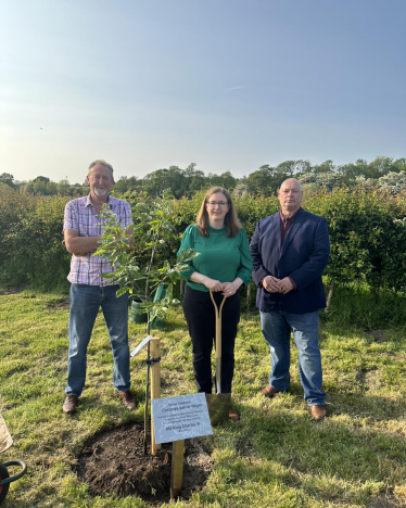 Tree Planting