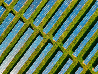 Solar Farm